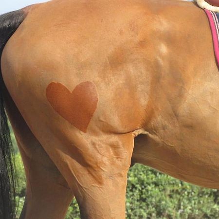 O Cantinho Da Penetra Al Santar المظهر الخارجي الصورة